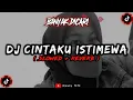 Download Lagu DJ Cintaku Istimewa Slowed Reverb🎧