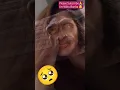 Download Lagu OMG Monkey Crying Sad🥺 #trending #shorts #funny #fyp #youtubeshorts