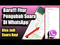 Lagu Fitur Terbaru WhatsApp Bisa Rubah Suara Jadi Bayi