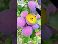 Download Lagu https://vm.tiktok.com/ZSBDBptFL/ This post is shared via TikTok Lite. Download TikTo