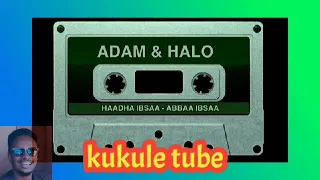 Art Adam And Hallo Dawe Old Oromo Music Oromo Kulemulisa 