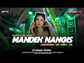 Download Lagu DJ MANDEK NANGIS PARTY KARNAVAL JANGAN YA DEK BASS BLAYER ZAINUL 99