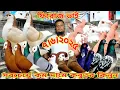 Download Lagu লাহোরি কবুতরের দাম জানুন।। পাকিস্তানি কবুতরের দাম জানুন।। সবচেয়ে কম দামি কবুতর কিনুন