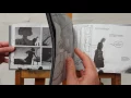 Flip through of graphic novel The Metamorphosis - story by Franz Kafka