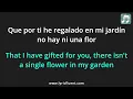 Aventura - Dile Al Amor Lyrics English Translation - Spanish and English Dual Lyrics  - Subtitles