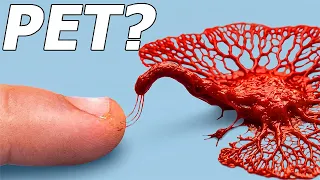 I Hatched a Pet Alien seriously