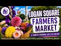 Logan Square Farmers Market Chicago A Sunday Morning Walk