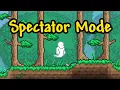 Can I Beat Terraria Without Breaking or Placing a SINGLE Block