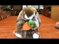 Animatronic Bunny Without Fur and Modification