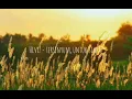 Download Lagu HIVI - Tersenyum Untuk Siapa (Lyrics)
