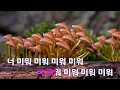 [은성 반주기] 미워(Ego) - 크러쉬(Crush)