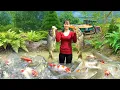 Download Lagu Using a 3-Wheeled Vehicle to Harvest Big Fish Goes to Countryside Market Sell | Phuong Harvest Life
