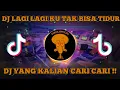 Download Lagu DJ LAGI LAGI KU TAK BISA TIDUR REMIX VIRAL TIKTOK TERBARU 2022