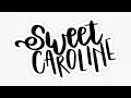 Sweet Caroline live by Junction 13 at Fireside Grill Bar in Marlboro NJ June 28 2024