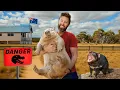 Download Lagu Privérondleiding door de gekste dierentuin van Australië