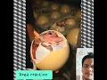 Download Lagu orang ini menemukan telur dinosaurus | Reza reaction