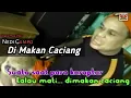 Download Lagu NEDI GAMPO - DIMAKAN CACIANG