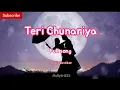 Teri Chunariya Lyrics | Hello Brother | Kumar sanu | Alka yagnik