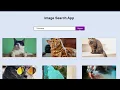 How to create Image Search App using HTML CSS3 JAVASCRIPT