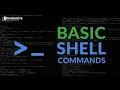 0x00 Shell basics
