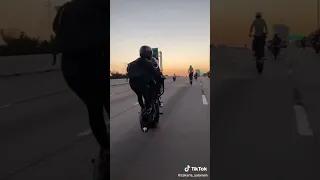 دب ابره تسمع صوت حالات واتس اب دندنها