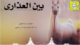 بين العذارى اداء محمد الهوشان 2025 حصريا 