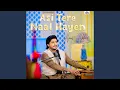 Download Lagu Asi Tere Naal Hayen
