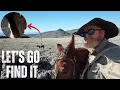 Download Lagu 94 Minutes in the Desert: Searching for Lost History with My Mule \u0026 Dogs