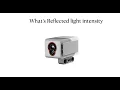 Reflected Light Intensity