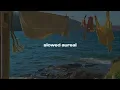 shakira - whenever, whenever (slowed + reverb)