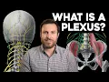 What is a Plexus Corporis