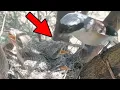 Burung Shrike Ekor Panjang sedang memberi makan bayinya #burung #video #satwa liar #bayilucu #youtube #videoviral 