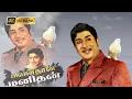 Download Lagu அவன்தான் மனிதன் திரைப்படத்தின் பாடல்கள் HD | avanthan manithan songs jukebox | Sivaji, Manjula .