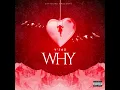 Download Lagu Y'Jaz - WHY (Prod.By-SayyDuke)