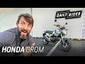 2022 Honda Grom Review Daily Rider