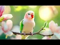 Piano for Anxiety Relief & Birdsong 🕊️🕊️🕊️ Healing Tunes Restore Your Spiri