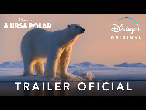 A Ursa Polar': Documentário já está disponível no Disney+! - CinePOP