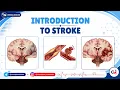 1 Introduction to Stroke CVA USMLE Step 2 CK Neurology Internal Medicine