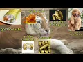 Download Lagu All that glitters is Gold
