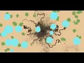 JavaScript Ant Colony Simulation Code