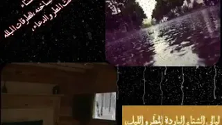 حالات واتس اب جميلة عن الشتاء 