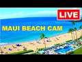 LIVE 4K MAUI LIVE CAM WHALE WATCH CAM www WhalerCondo net