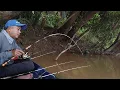 Download Lagu Memancing udang galah dan pemandangan langka ratusan ikan muncul kepermukaan 