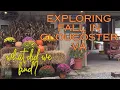 The Quirky Charm of Gloucester VA Mums Pumpkins and Antiques