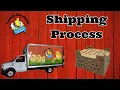 Cackle Hatchery - Shipping Process