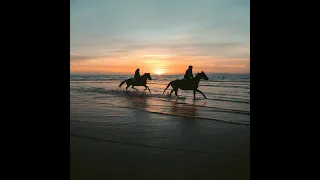 لو زغرد صوت البارود 