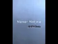 Never Notice