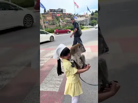 🇬🇪