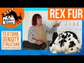 Rex Fur - Comparing Coat Structures by Cathy Szychulda 6 time Best of Breed Rex ARBA Convention