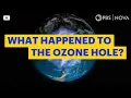 What Happened to the Hole in the Ozone Layer NOVA PBS